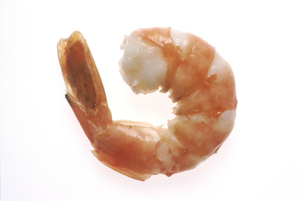 Food/Shrimp.jpg
