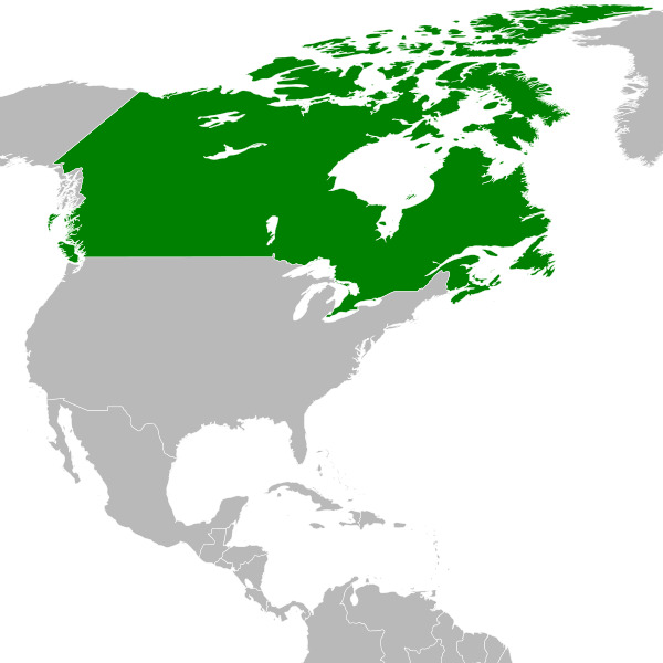 Countries/Canada.jpg