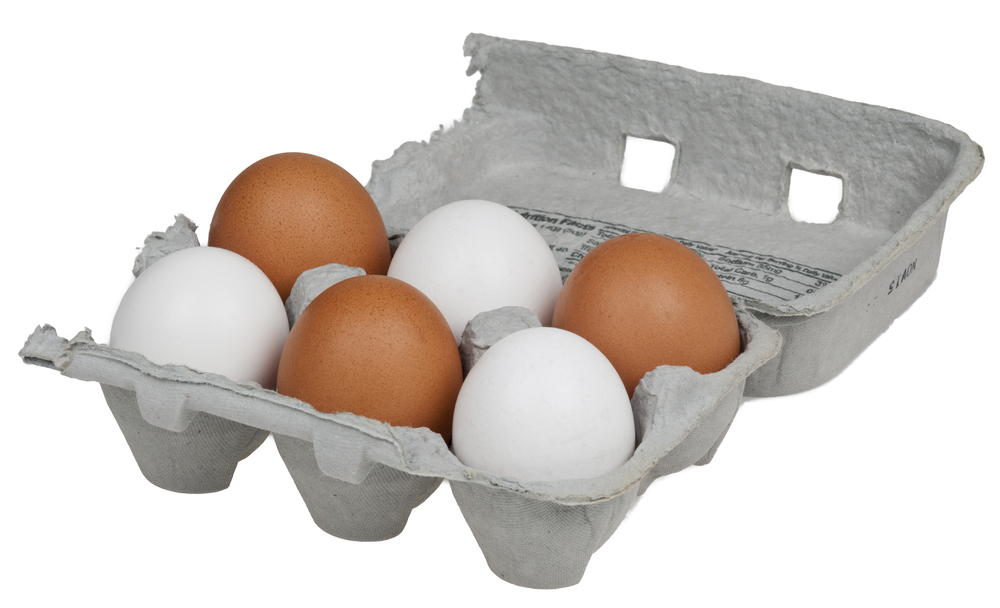 Food/Eggs.jpg