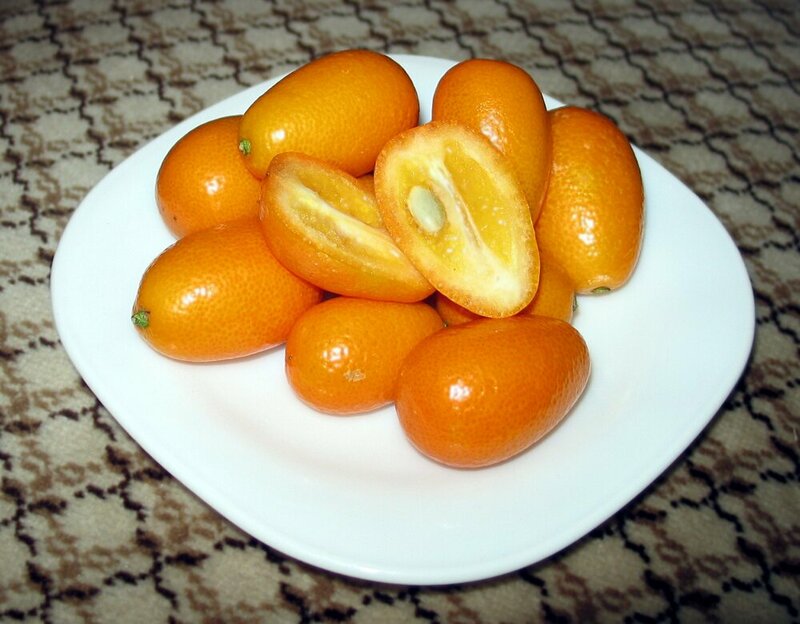 Fruit/Kumquat.jpg