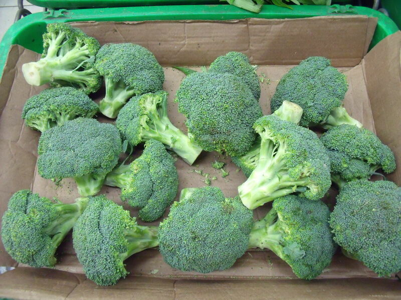 Vegetables/Broccoli.jpg
