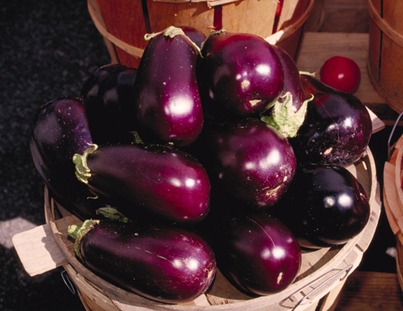 Vegetables/Eggplant.jpg