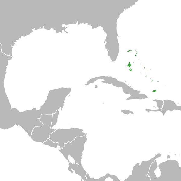 Countries/Bahamas.jpg