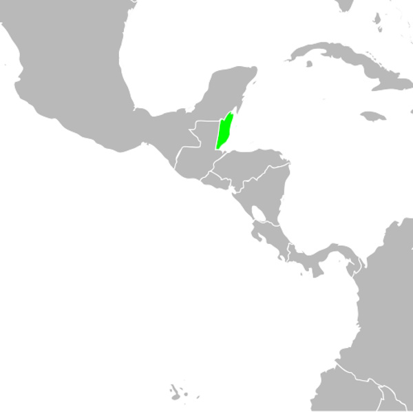 Countries/Belize.jpg