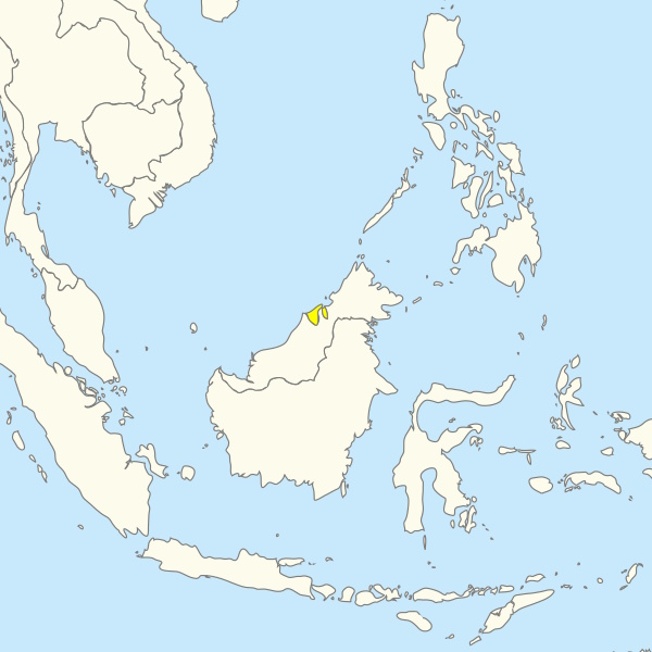 Countries/Brunei.jpg