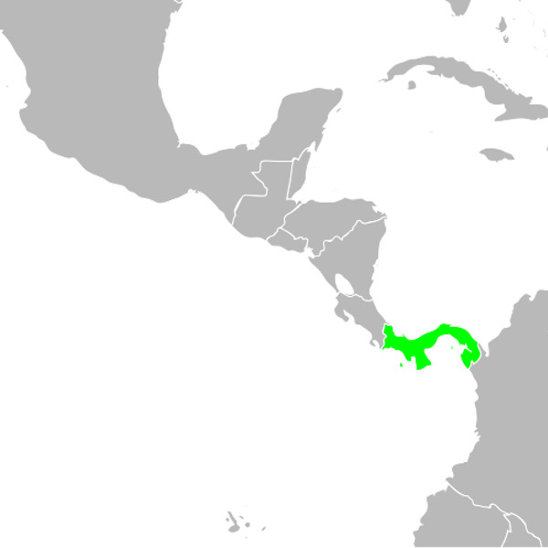 Countries/Panama.jpg