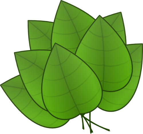 Nature/leaves.png