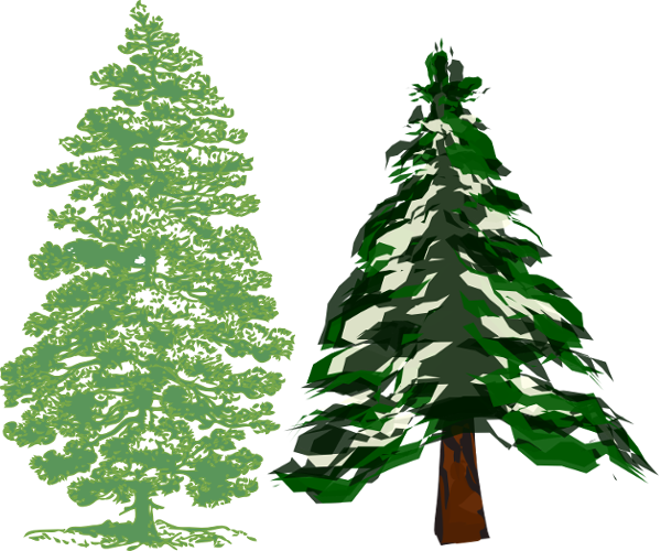 Nature/pine_tree.png