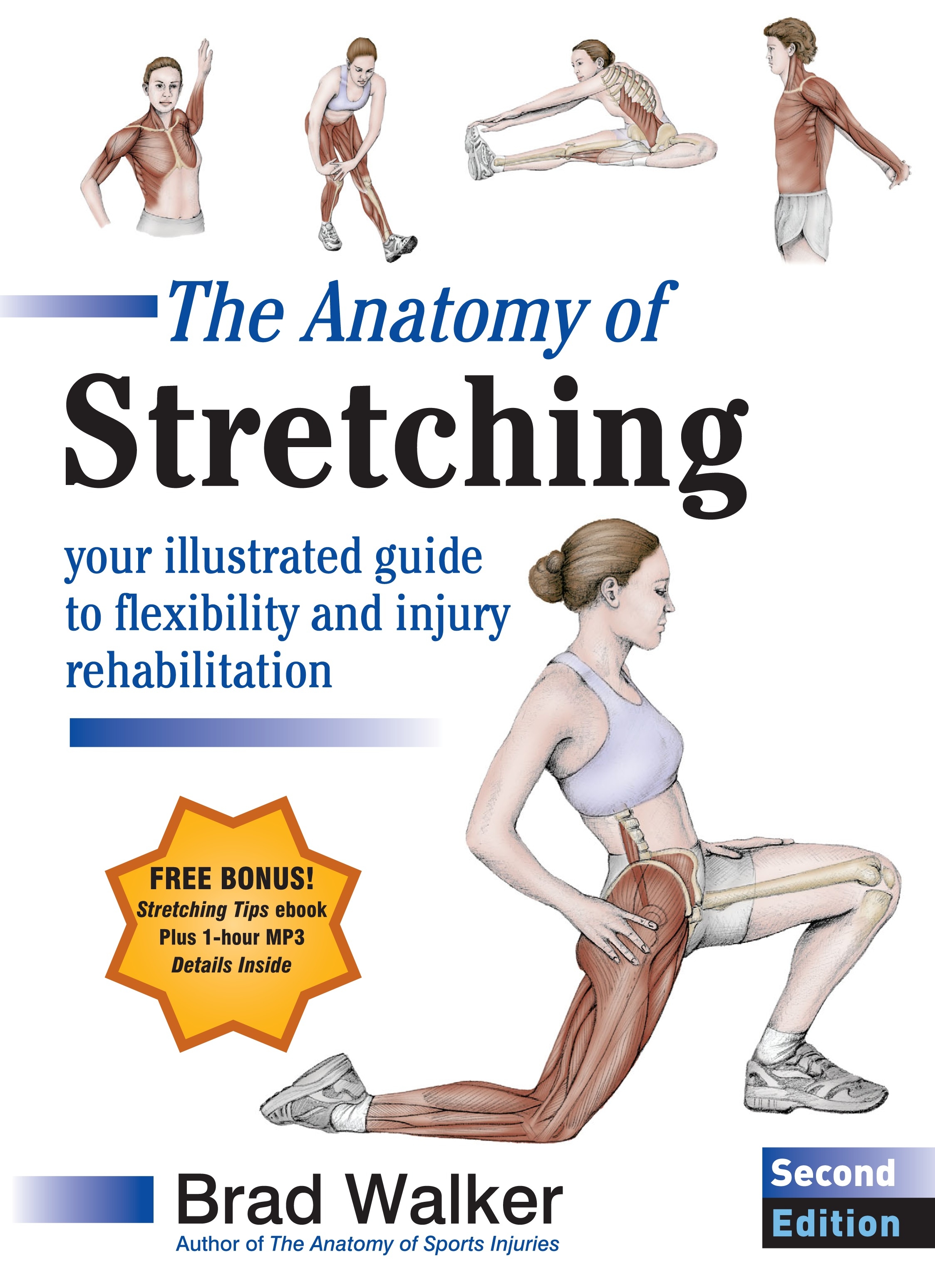 Books/The_Anatomy_of_Stretching.jpg
