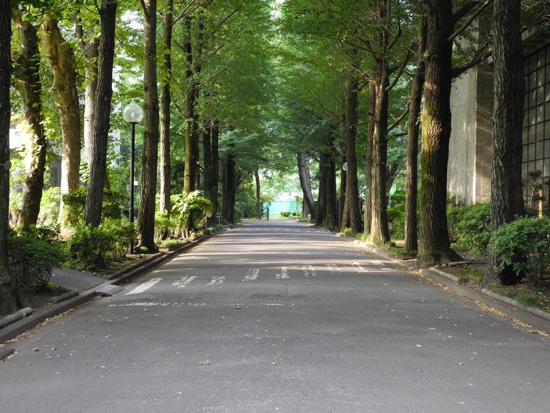 20120730.2276.musashino_u.jpg