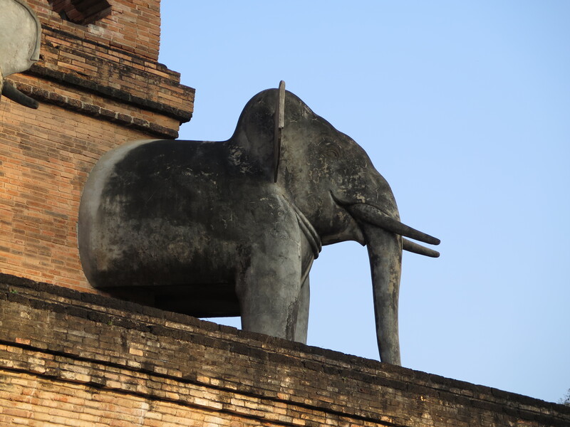 20150105.14.Elephant.jpg