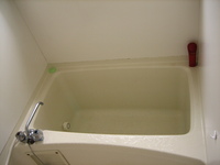20070925.1.Bathtub.jpg