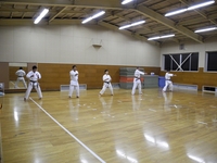 20110821.3173.karate.jpg