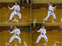20110918.3721.karate.jpg