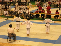 20130713.06.Karate.jpg