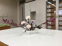 20171019.02.Flowers.jpg
