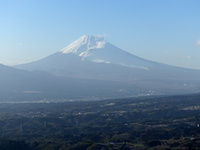 20240303.3.Fuji.jpg