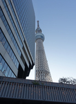 20260213.1.Skytree.jpg