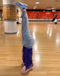 20260701.1.Shonandai.jpg