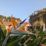 20260730.1.Paradise.jpg