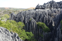20260804.4.Tsingy.jpg