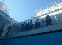 20261008.4.Pool.jpg